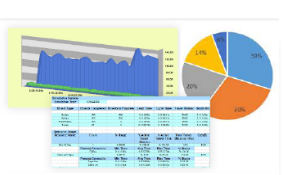 custom reports